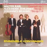 Quartett für Violine, Violoncello, Klarinette und Klavier, op. 1: Andantino un poco mosso