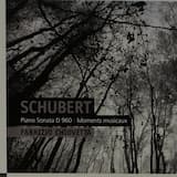 Piano Sonata in B-flat major, D. 960: III. Scherzo. Allegro vivace con delicatezza