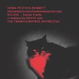 The Future (for Cats)