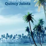 Afrofunk (Quincy Jointz Remix)