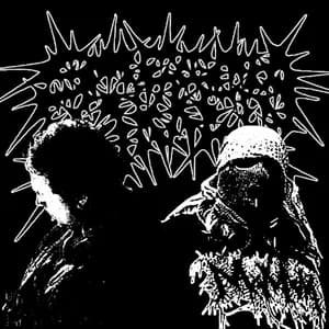 SMEGMA LIKKER avatar