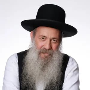 שולי רנד avatar