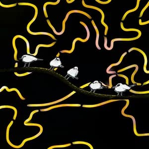 Baltasis kiras avatar