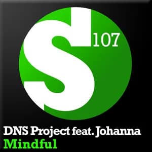 DNS Project avatar