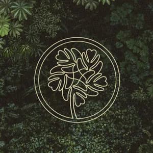 Beats for Trees avatar