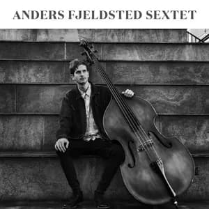 Anders Fjeldsted avatar