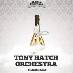 The Tony Hatch Orchestra avatar