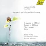 Concerto for Cello and Orchestra in B minor, op. 104: II. Adagio ma non troppo