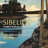 Carminalia, JS 51c (version with piano): II. Angelus emittitur