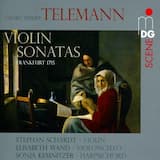 Sonata I in G minor, TWV 41:g1: II. Allegro