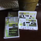 A Calming Array of Potted Plants