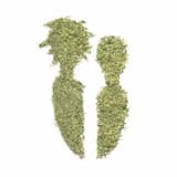 Vatos Lustros (Interlude)