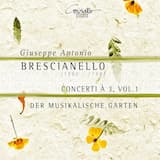 Concerto sesto in B minor: IV. Presto