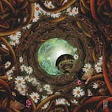 Its Next Step Toward Nothing