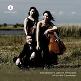 Piano Trio in G minor, op. 15: II. Allegro, ma non agitato