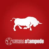 I Once Knew (A Girl Like You)