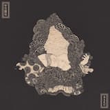 Carnations Floating in the Sky