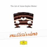 Violin Concerto in A minor, op. 53, B. 108: III. Finale (Allegro giocoso, ma non troppo)