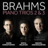 Piano Trio no. 2 in C major, op. 87: II. Andante con moto (Tema con variazione)