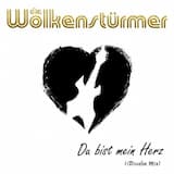 Du bist mein Herz (Discofox Mix)