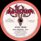 Bad Passion (instrumental version)