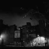 Blood Is the Weakest of Bonds