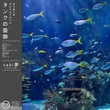 魚のエレベーター