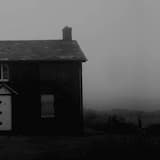 Live in Fear of Everything