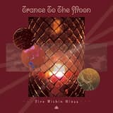 Antarctic Twilight ii