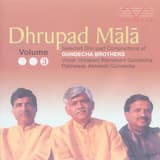 Raga - Bhimpalasi - Alap