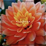 Do Nothing Til You Hear From Me