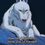 Armani loves the world