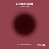 Rabbit Hole (Stereo Express Remix)