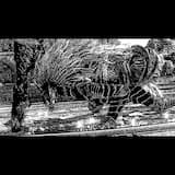 Oh Death, Become My Blade