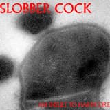 Your Mum Is Fat and Your Dad Is Gay (In a Happy Way)