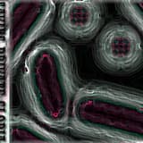 Elise Says Disco Fingers