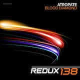 Blood Diamonds (extended mix)