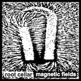 Magnetic Fields