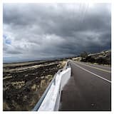 Fiction in the Shape of Memory