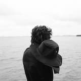 Light and Shadow Under the Olive Tree