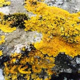 it's a numbers game (message repeat)