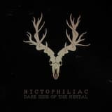 Pripyat's Whispering Curse