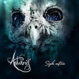 Aquellos Que Miran El Firmamento