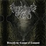 Beneath the Canopy of Compost