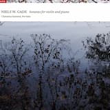 Violin Sonata no. 2 in D minor, op. 21: 2. Larghetto – Allegro vivace – Larghetto – Allegro vivace – Larghetto