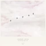 Where the Sea Meets the Shore