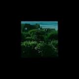 Winding Stairs/Pangolin Bloodbath