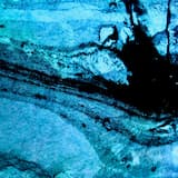 Come to Bury to Exhume