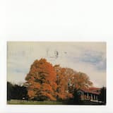 It’s Like Holding a Ghost’s Hand