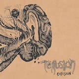 The Collyer Brothers